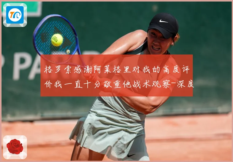 格罗索感谢阿莱格里对我的高度评价我一直十分敬重他战术观察-深度解析
